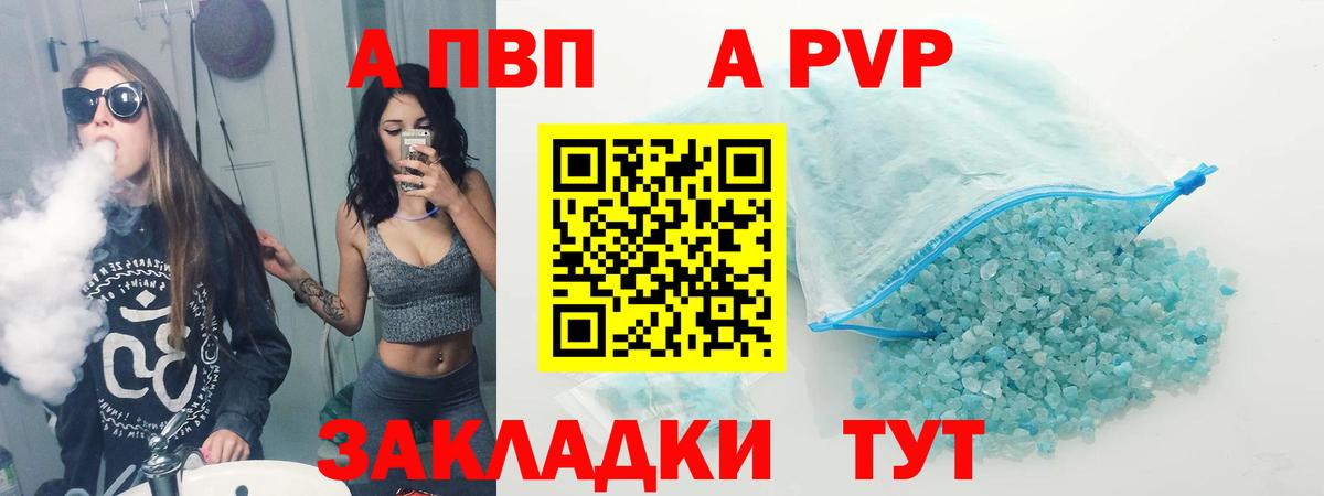 Alfa_PVP СК Коряжма