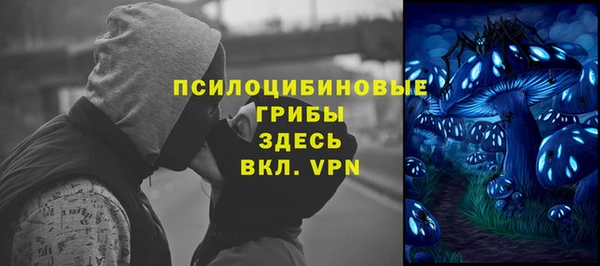 амф Осинники