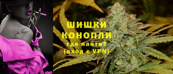 амф Осинники