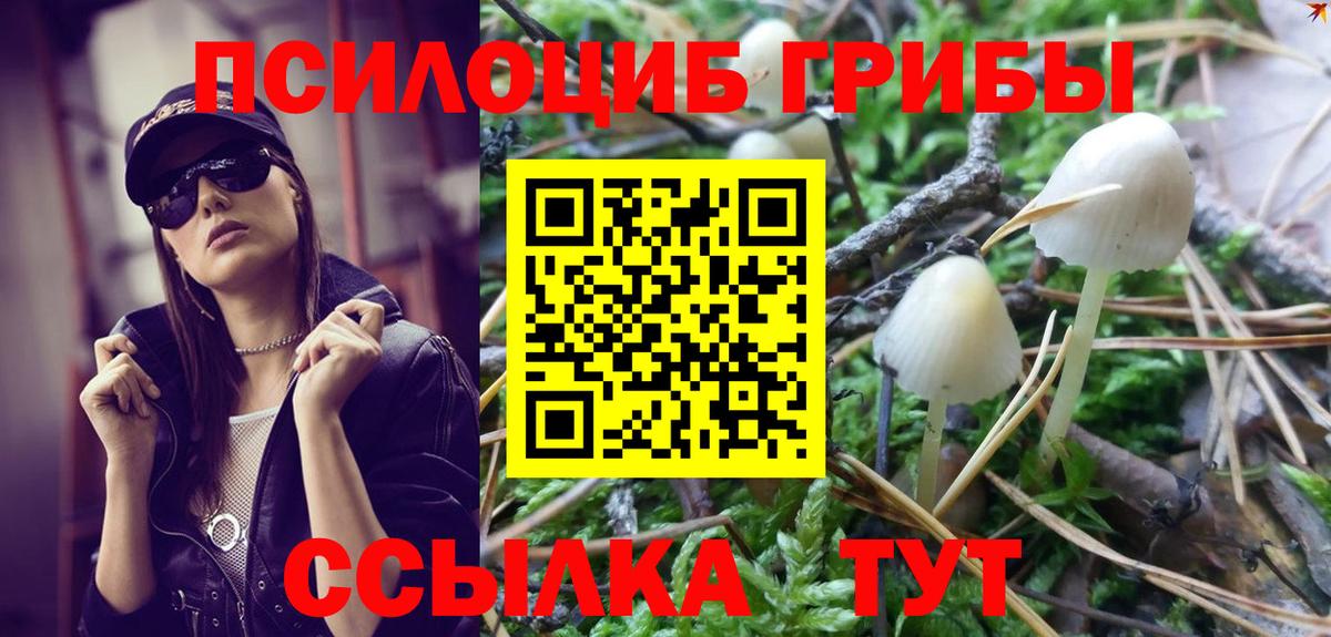 Галлюциногенные грибы ЛСД Коряжма